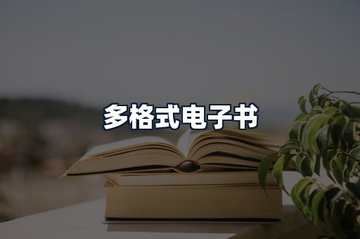 多格式电子书
